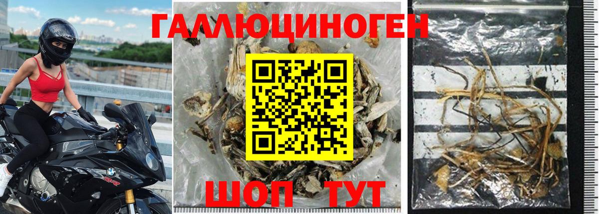 Псилоцибиновые грибы MAGIC MUSHROOMS Сосновоборск